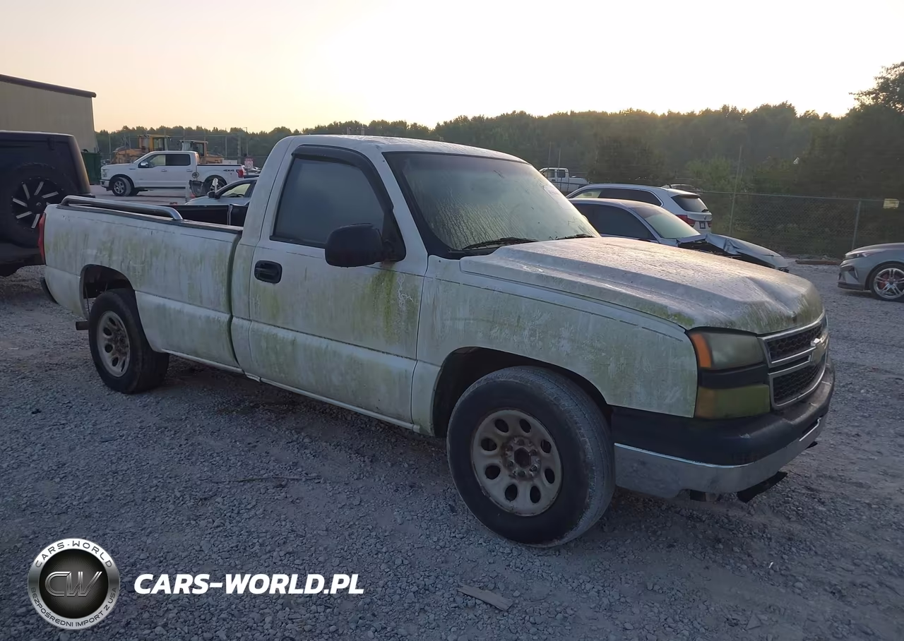 2006 Chevrolet Silverado 1500 Work Truck