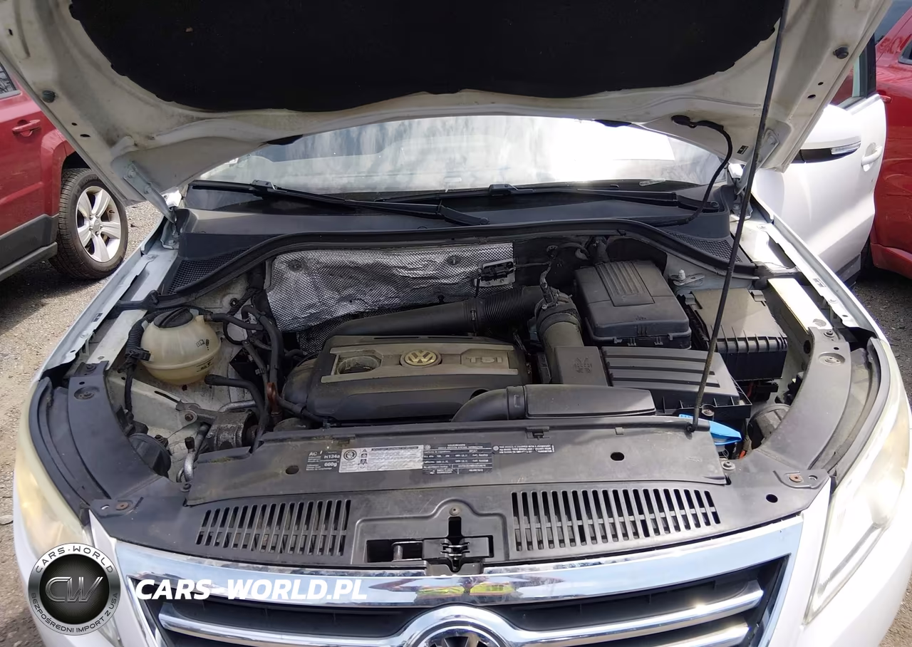 2011 Volkswagen Tiguan Se VIN:WVGBV7AX7BW517127 - 10