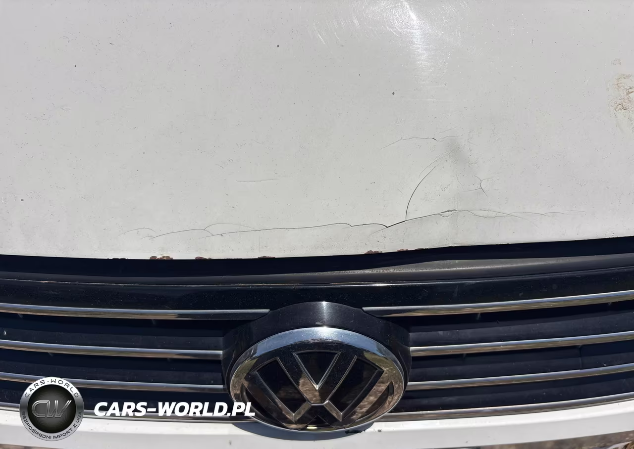 VOLKSWAGEN PASSAT VIN:1VWAS7A39GC023377 - 6