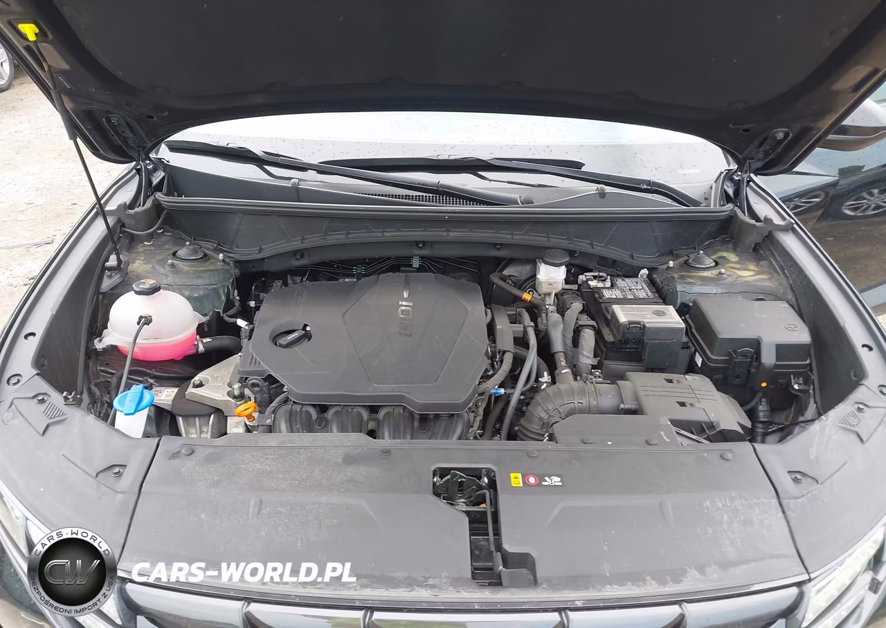 2024 Hyundai Tucson Sel VIN:5NMJBCDE4RH420024 - 10
