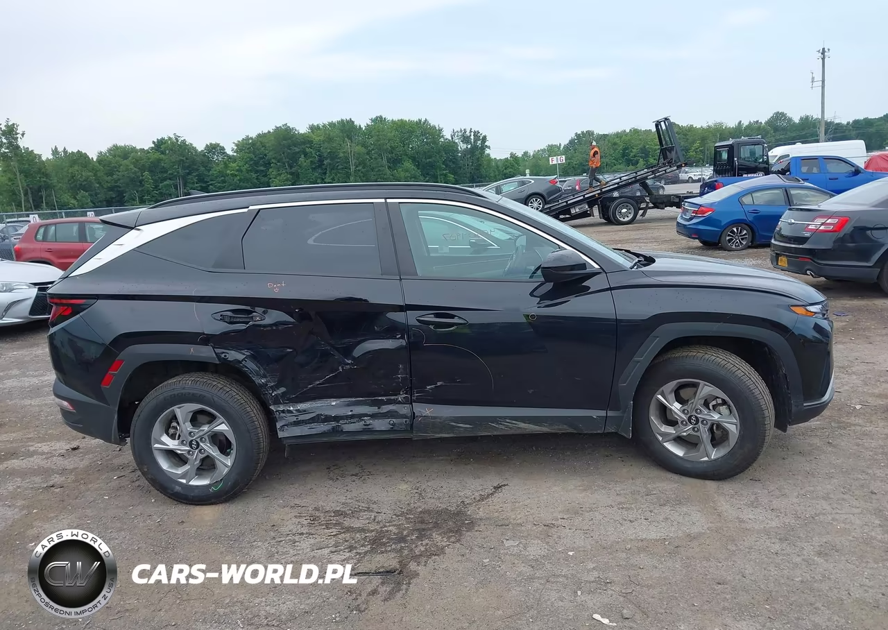 2024 Hyundai Tucson Sel VIN:5NMJBCDE4RH420024 - 13