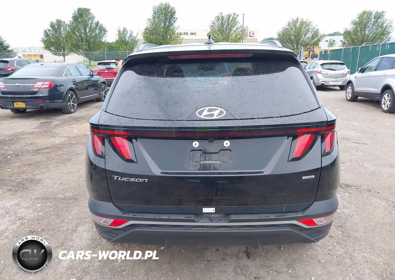 2024 Hyundai Tucson Sel VIN:5NMJBCDE4RH420024 - 16