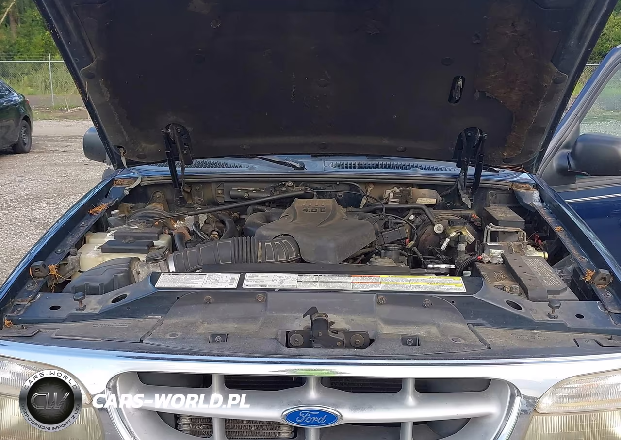 1997 Ford Explorer Eddie Bauer-Limited-Xl-Xlt VIN:1FMDU34E5VUA11441 - 10