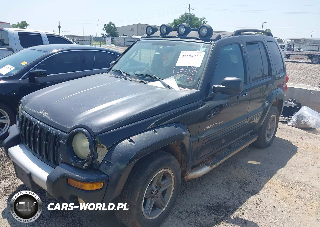 2003 Jeep Liberty Renegade VIN:1J4GL38K93W599814 - 2