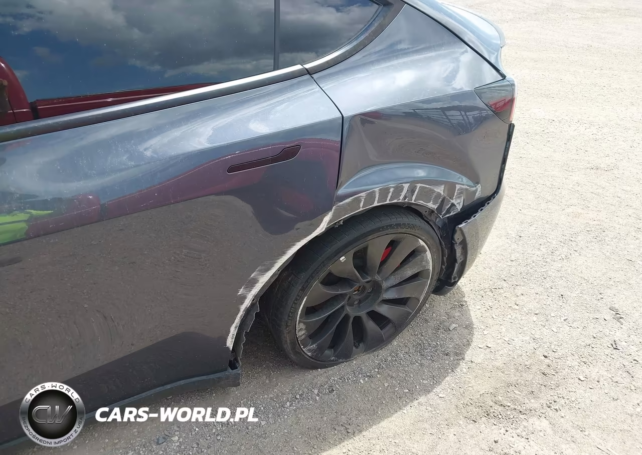 2022 Tesla Model Y Performance Dual Motor All-Wheel Drive VIN:7SAYGDEF8NF546205 - 19