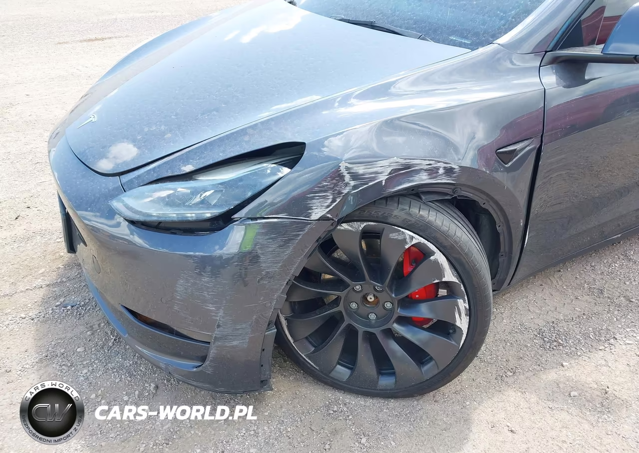 2022 Tesla Model Y Performance Dual Motor All-Wheel Drive VIN:7SAYGDEF8NF546205 - 6