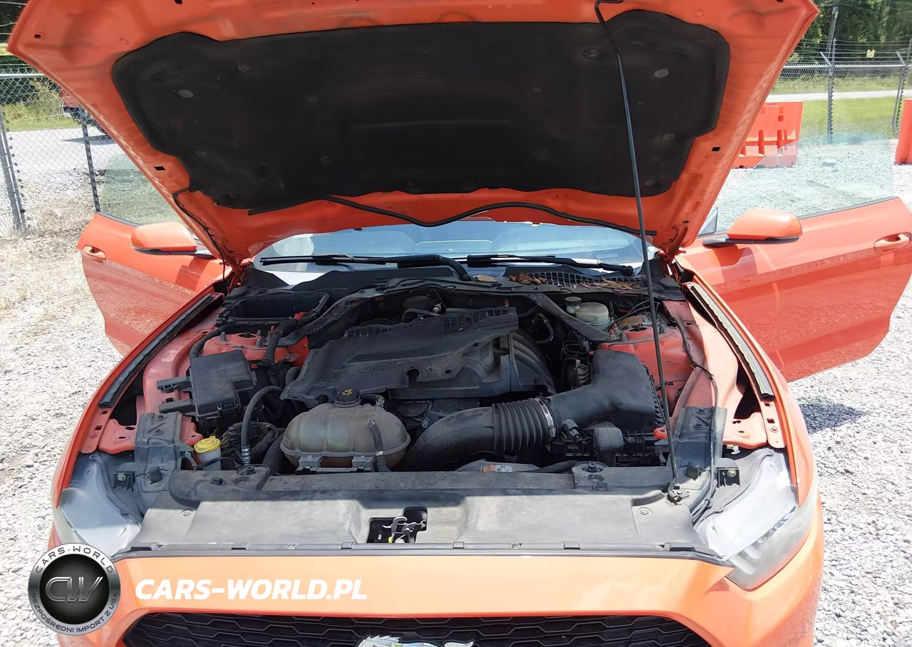 2016 Ford Mustang Ecoboost Premium VIN:1FATP8UH5G5217151 - 10