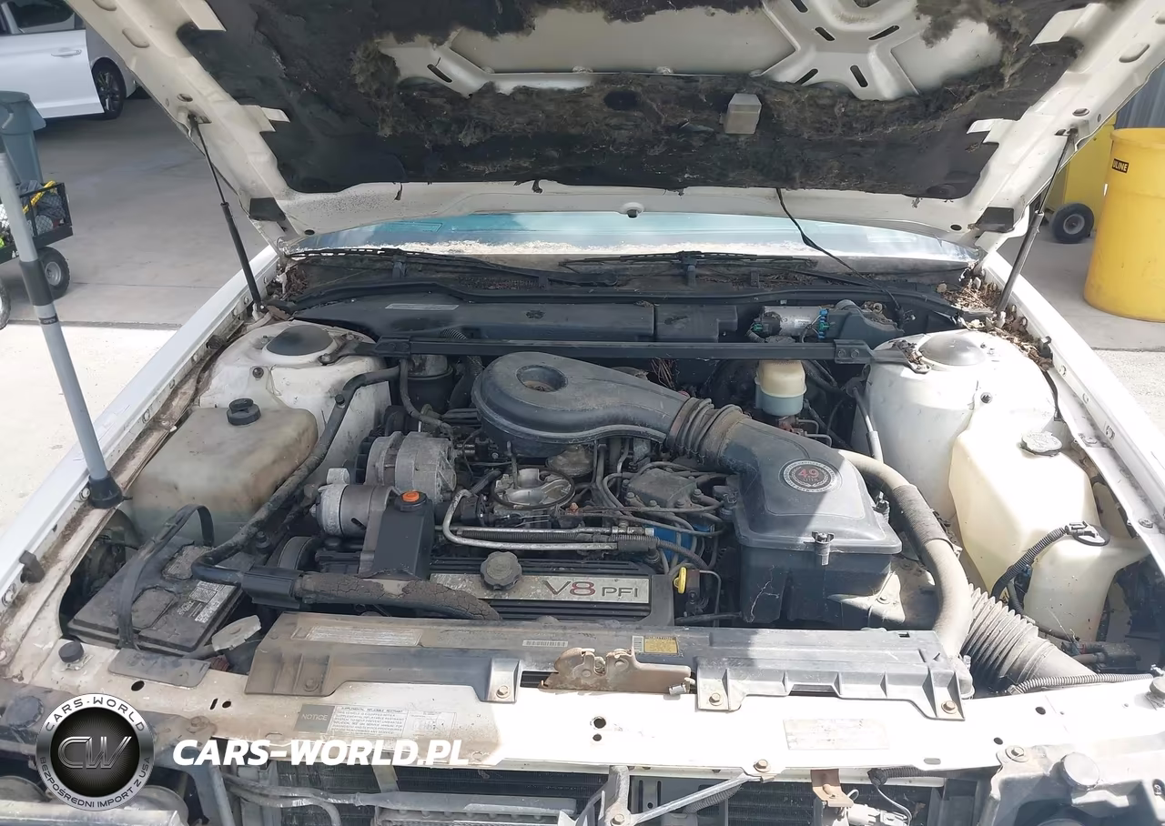 1991 Cadillac Deville VIN:1G6CD53B4M4205270 - 10