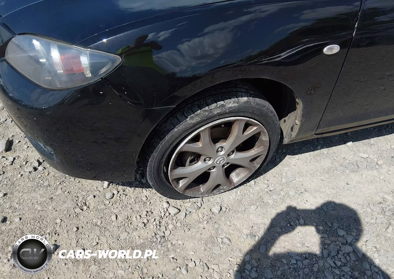 2009 Mazda Mazda3 I VIN:JM1BK32F391215837 - 6