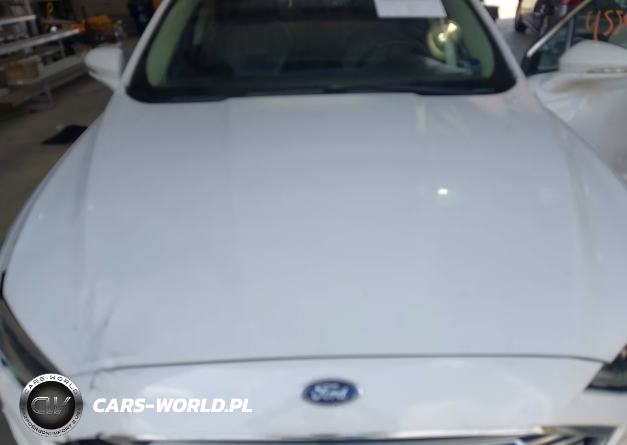 2018 Ford Fusion Hybrid Titanium VIN:3FA6P0RU9JR207182 - 10