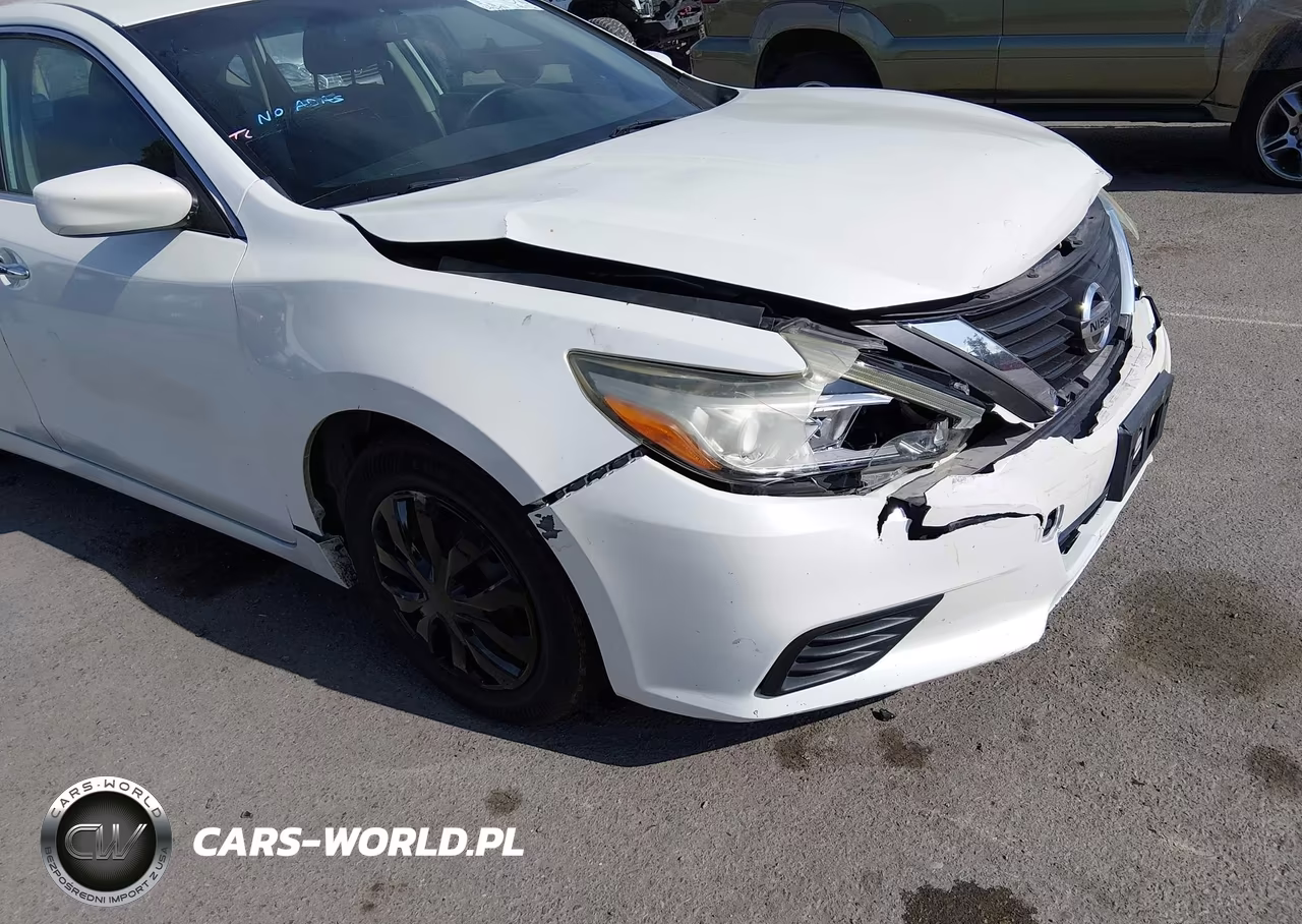 2016 Nissan Altima 2.5-2.5 S-2.5 Sl-2.5 Sr-2.5 Sv VIN:1N4AL3AP8GC193120 - 17