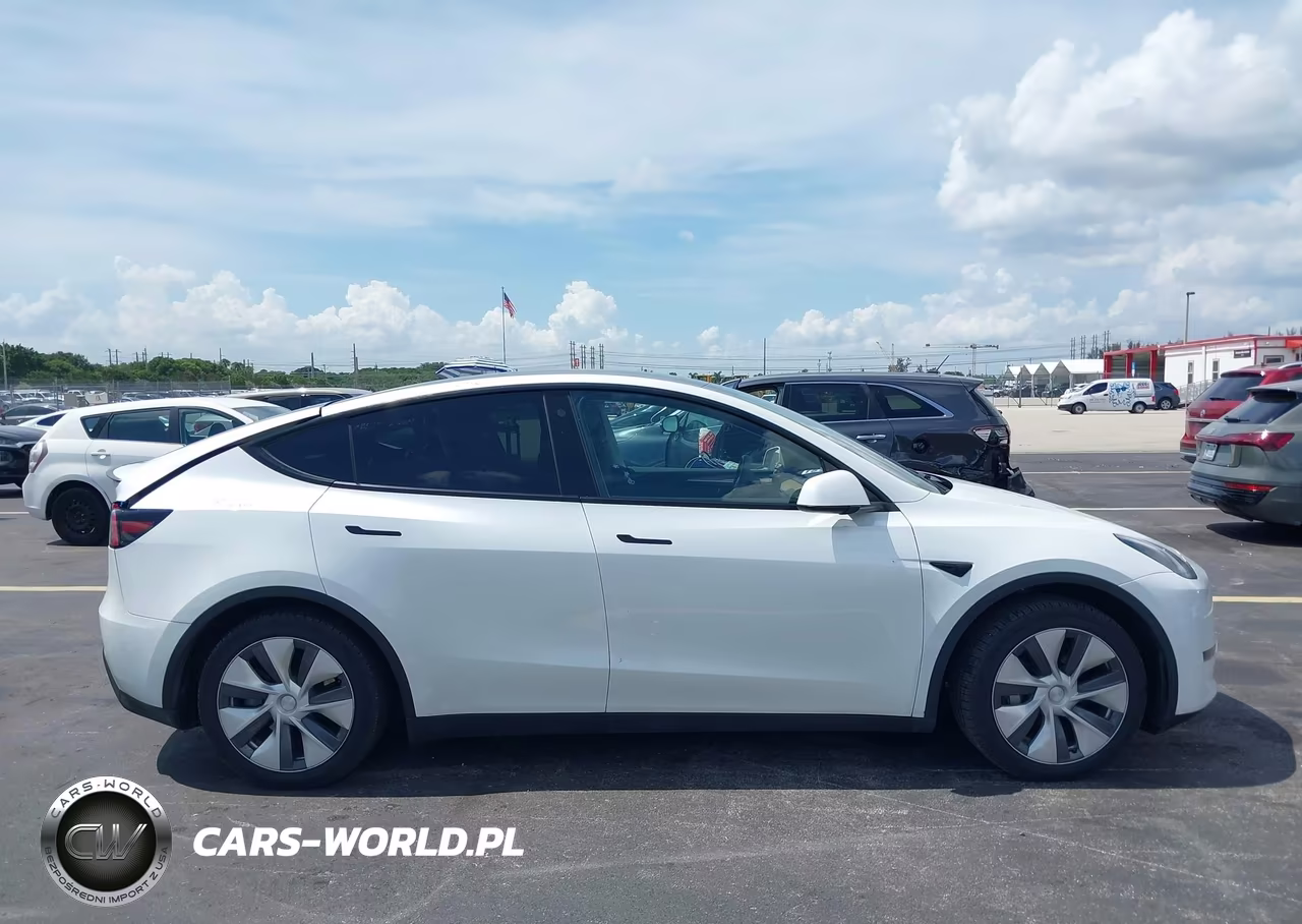 2023 Tesla Model Y Performance Dual Motor All-Wheel Drive VIN:7SAYGDEF6PA049086 - 12