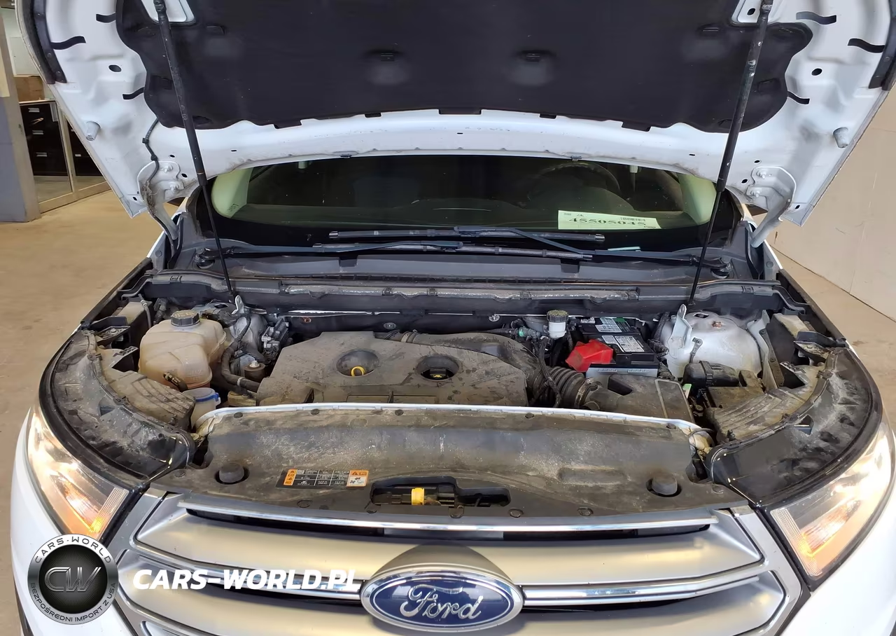 2018 Ford Edge Se VIN:2FMPK3G91JBC38482 - 10