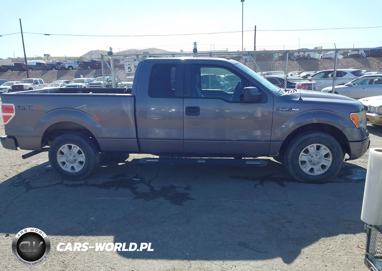 2012 Ford F-150 Stx VIN:1FTEX1CM5CKD04021 - 13
