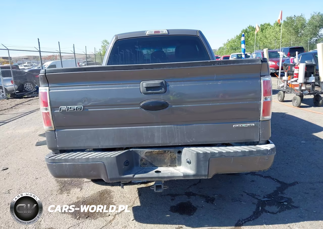 2012 Ford F-150 Stx VIN:1FTEX1CM5CKD04021 - 16