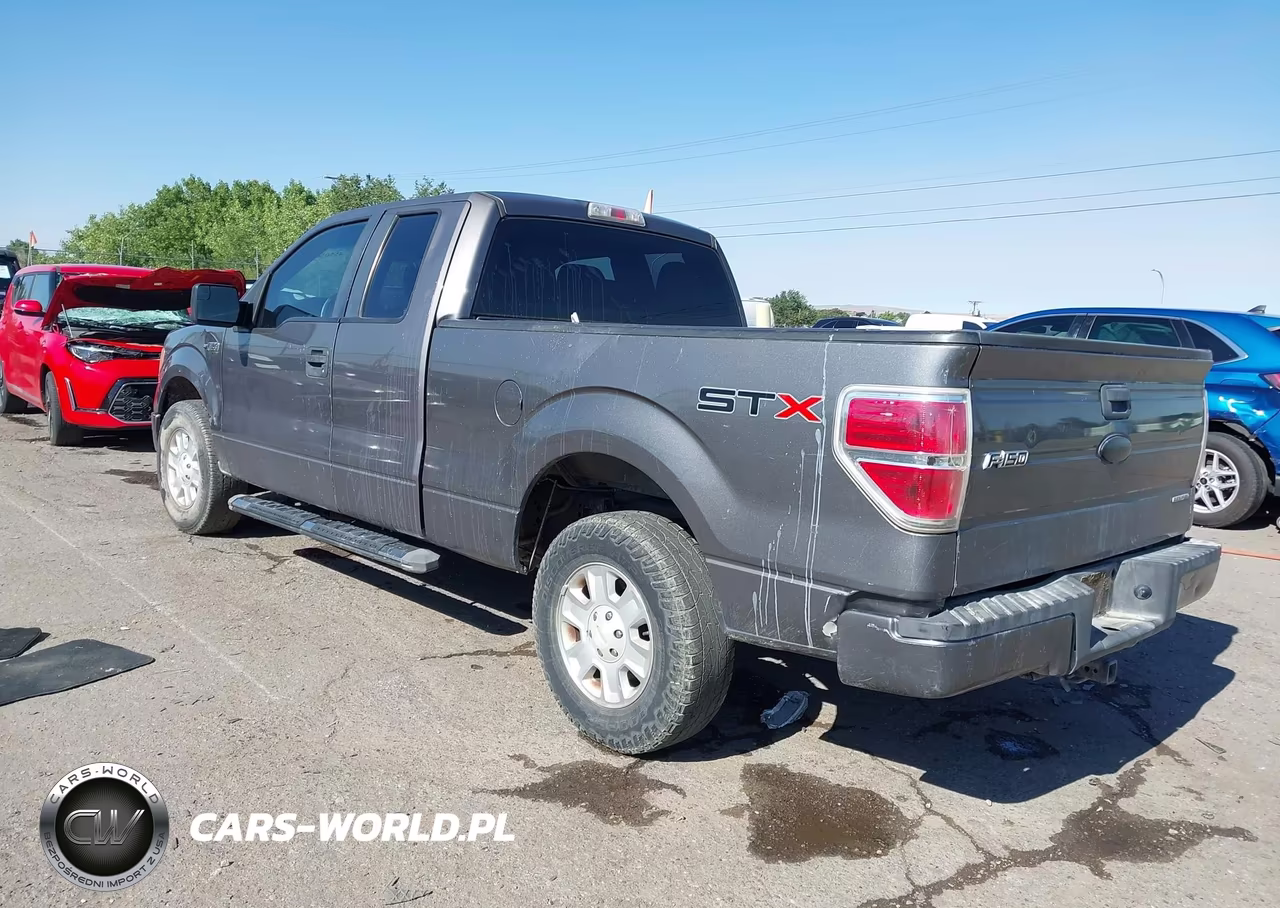 2012 Ford F-150 Stx VIN:1FTEX1CM5CKD04021 - 3