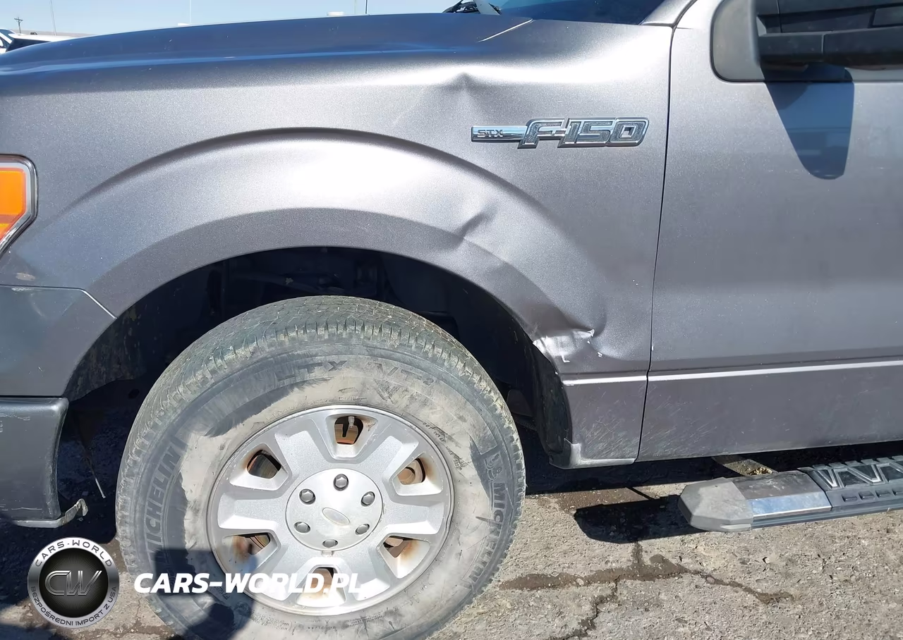 2012 Ford F-150 Stx VIN:1FTEX1CM5CKD04021 - 6
