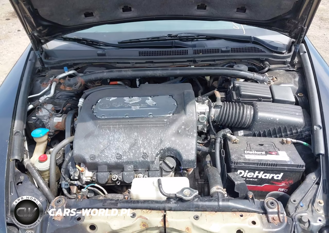 2005 Acura Tl VIN:19UUA66285A024317 - 10