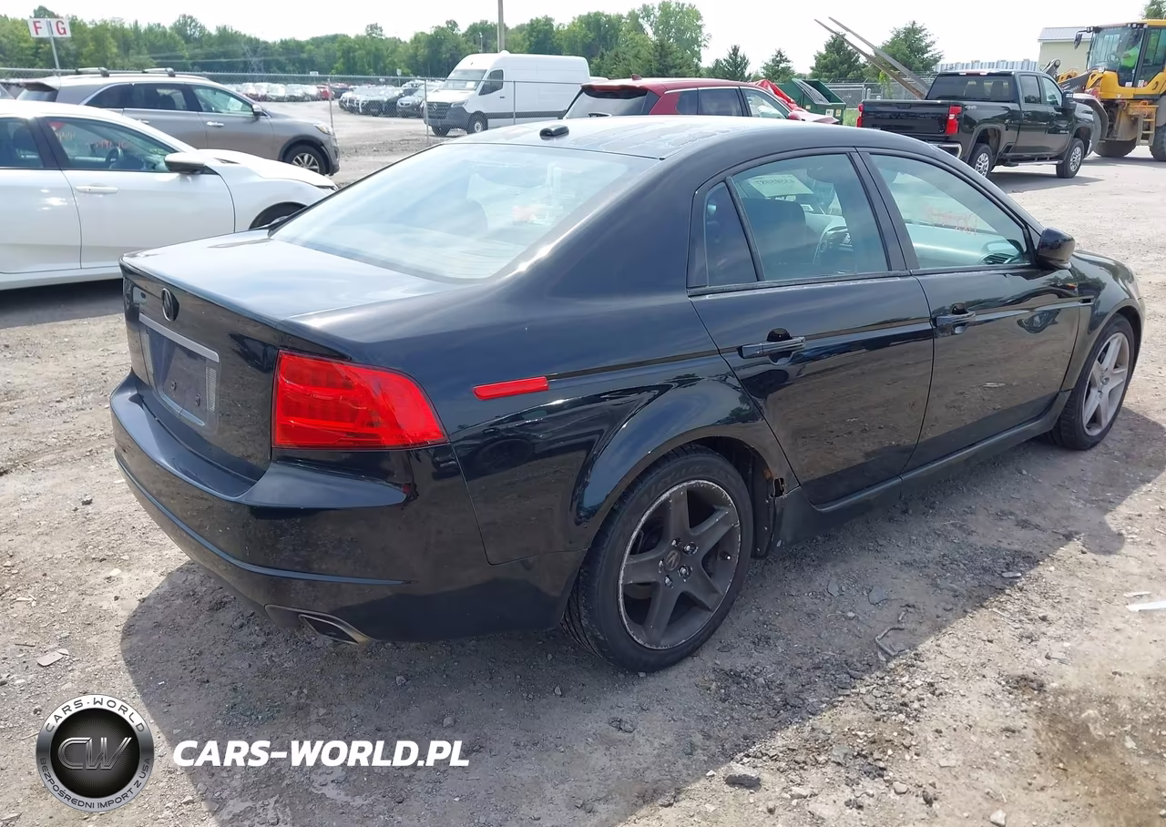 2005 Acura Tl VIN:19UUA66285A024317 - 4