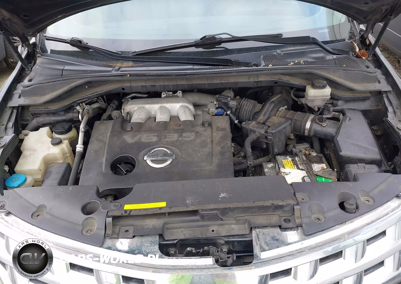 2003 Nissan Murano Sl VIN:JN8AZ08W33W237641 - 10