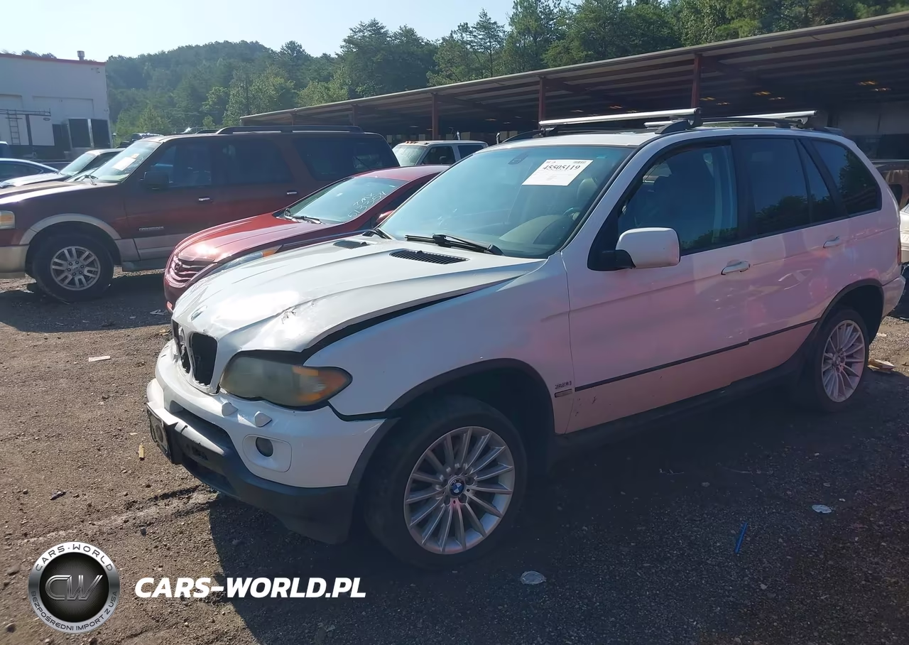 2005 BMW X5 3.0I VIN:5UXFA13515LY11010 - 2