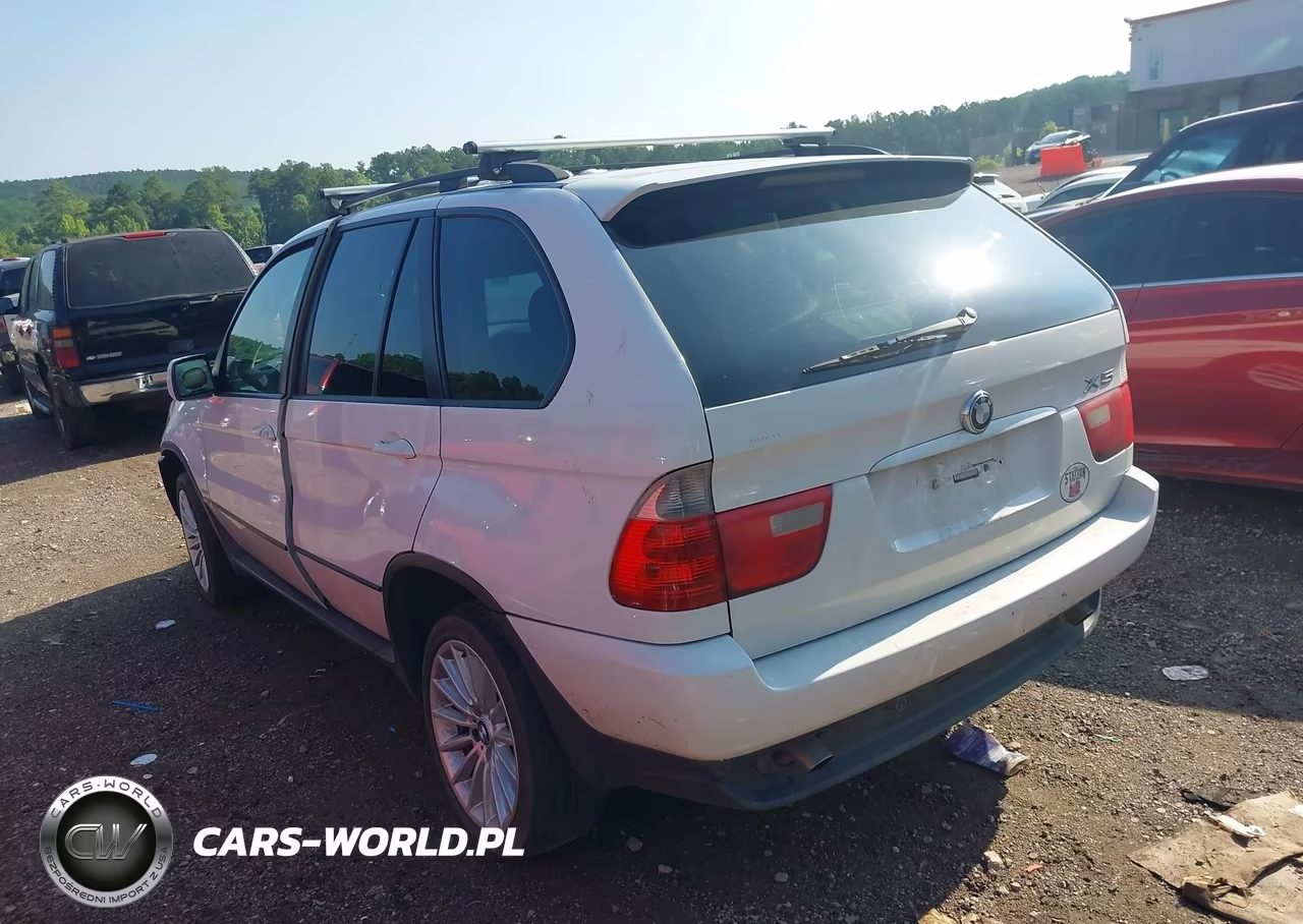 2005 BMW X5 3.0I VIN:5UXFA13515LY11010 - 3