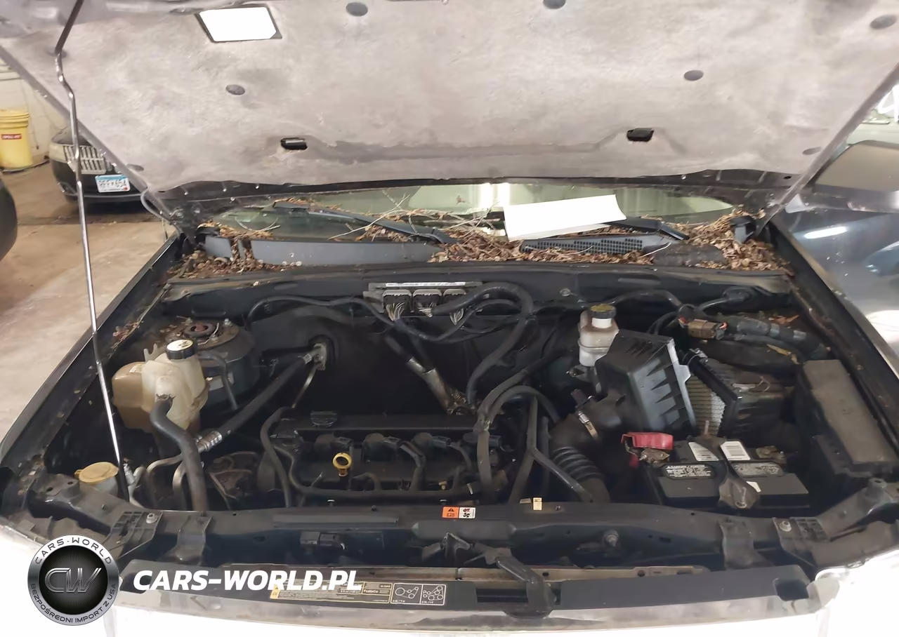 2011 Ford Escape Xlt VIN:1FMCU0D70BKA08000 - 10