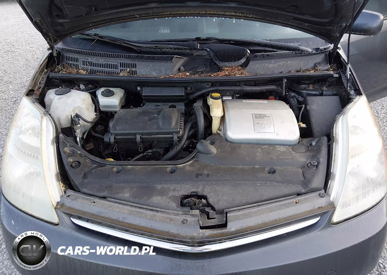 2009 Toyota Prius VIN:JTDKB20U193471412 - 10
