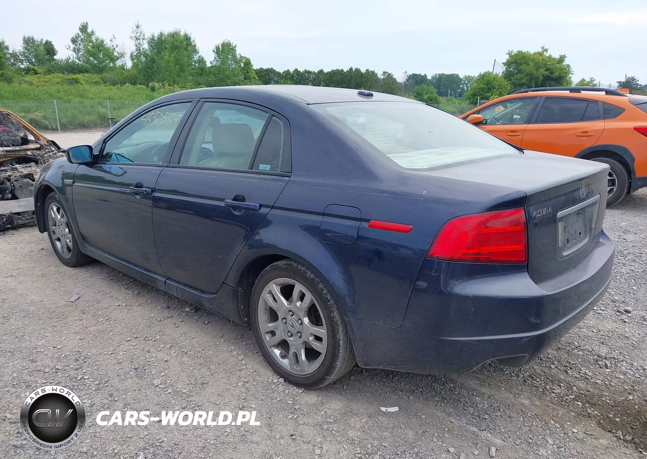 2006 Acura Tl VIN:19UUA66236A022475 - 3