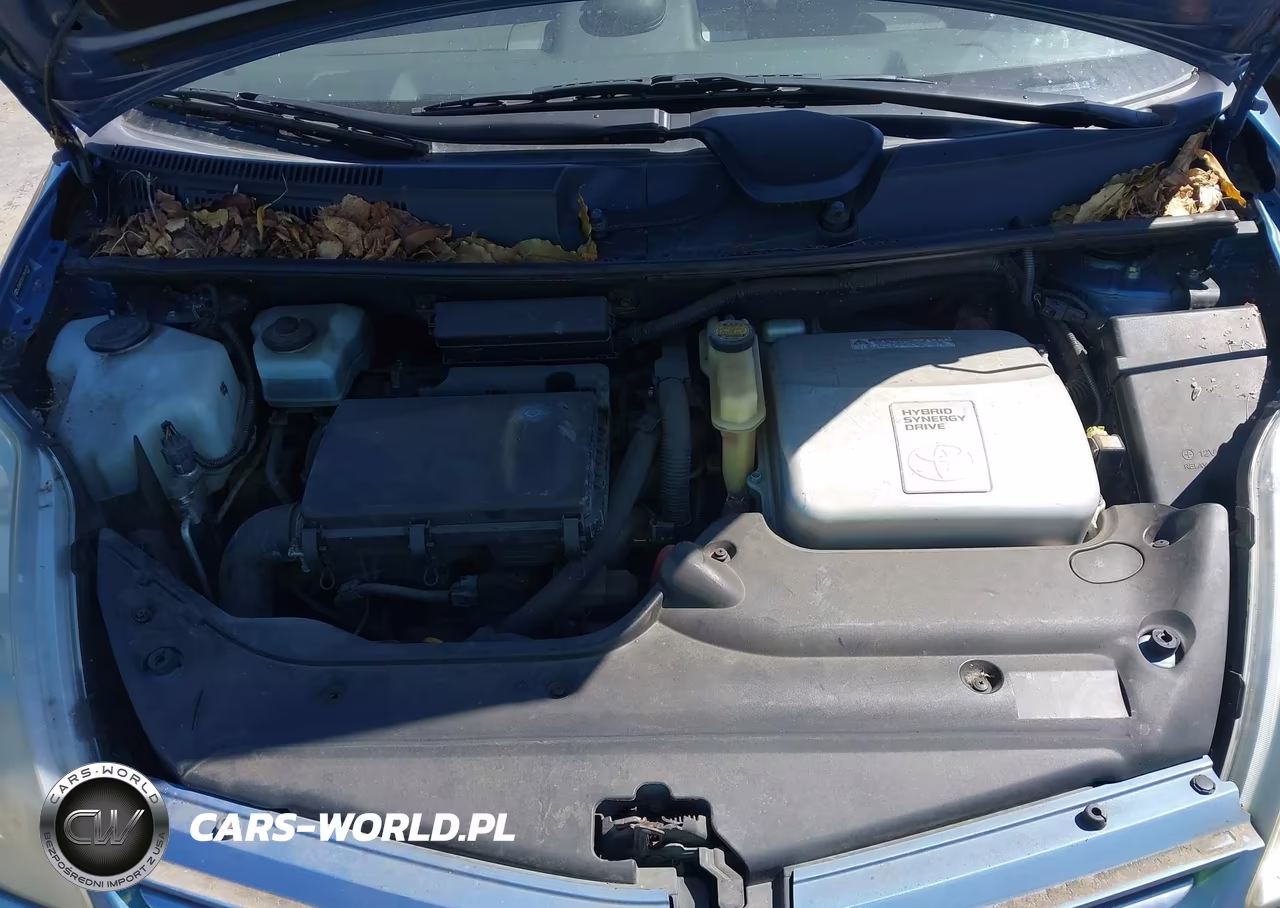 2007 Toyota Prius VIN:JTDKB20UX77689001 - 10