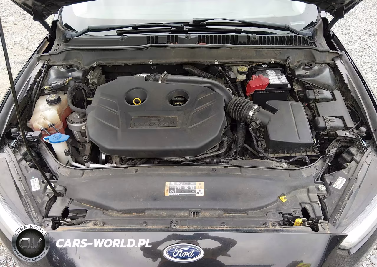 2014 Ford Fusion Titanium VIN:3FA6P0D92ER129952 - 10