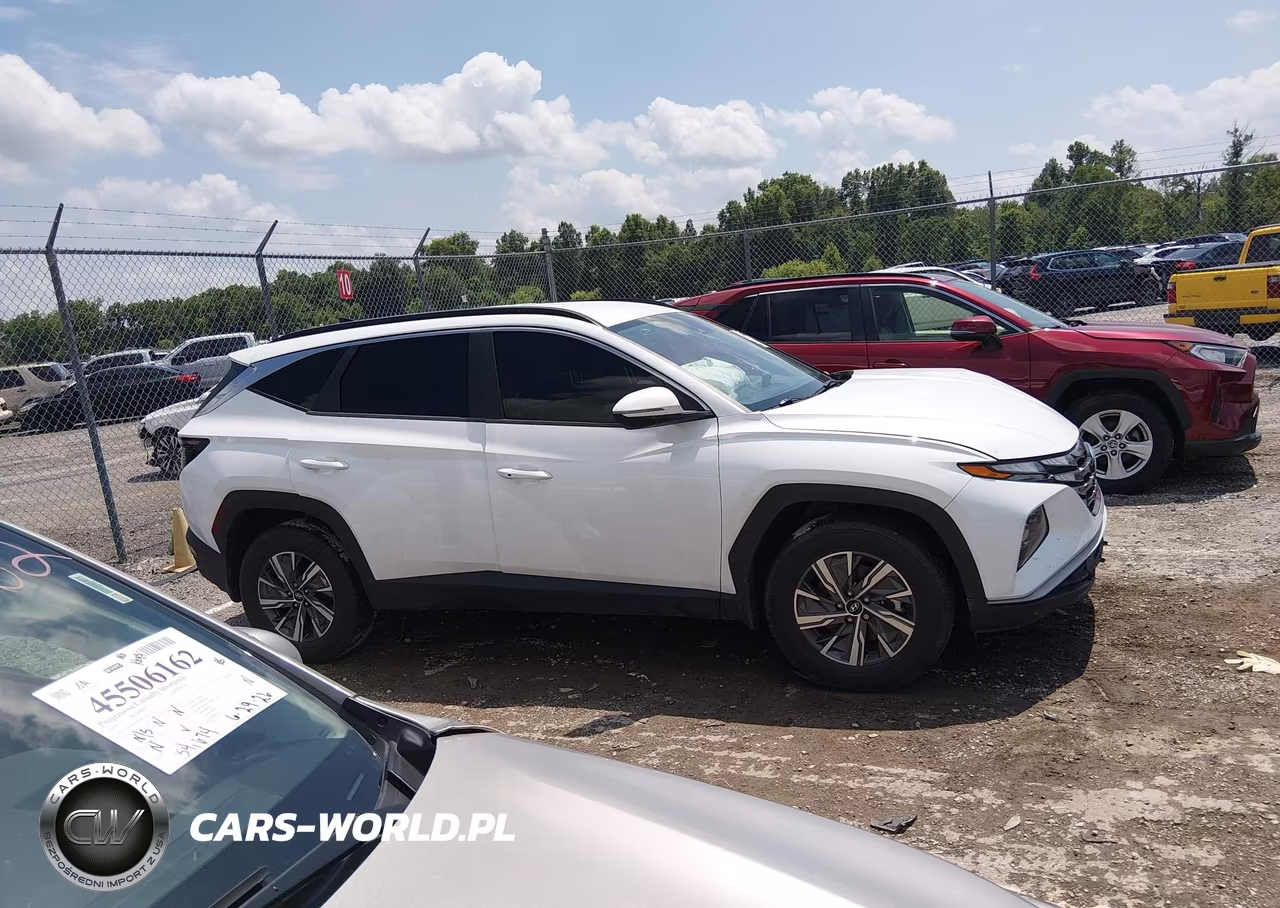 2022 Hyundai Tucson Hybrid Blue VIN:KM8JBCA16NU028260 - 13