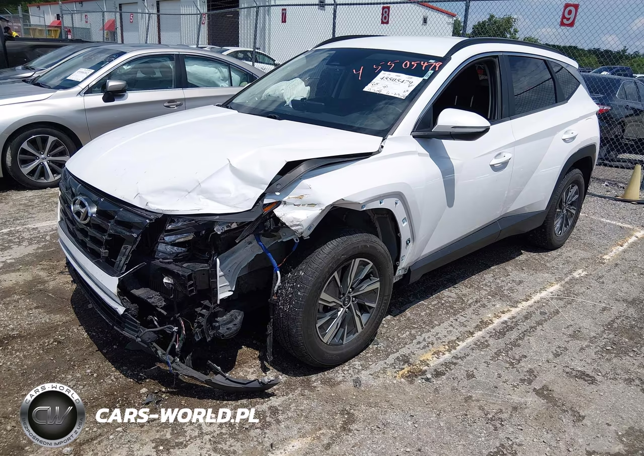 2022 Hyundai Tucson Hybrid Blue VIN:KM8JBCA16NU028260 - 2