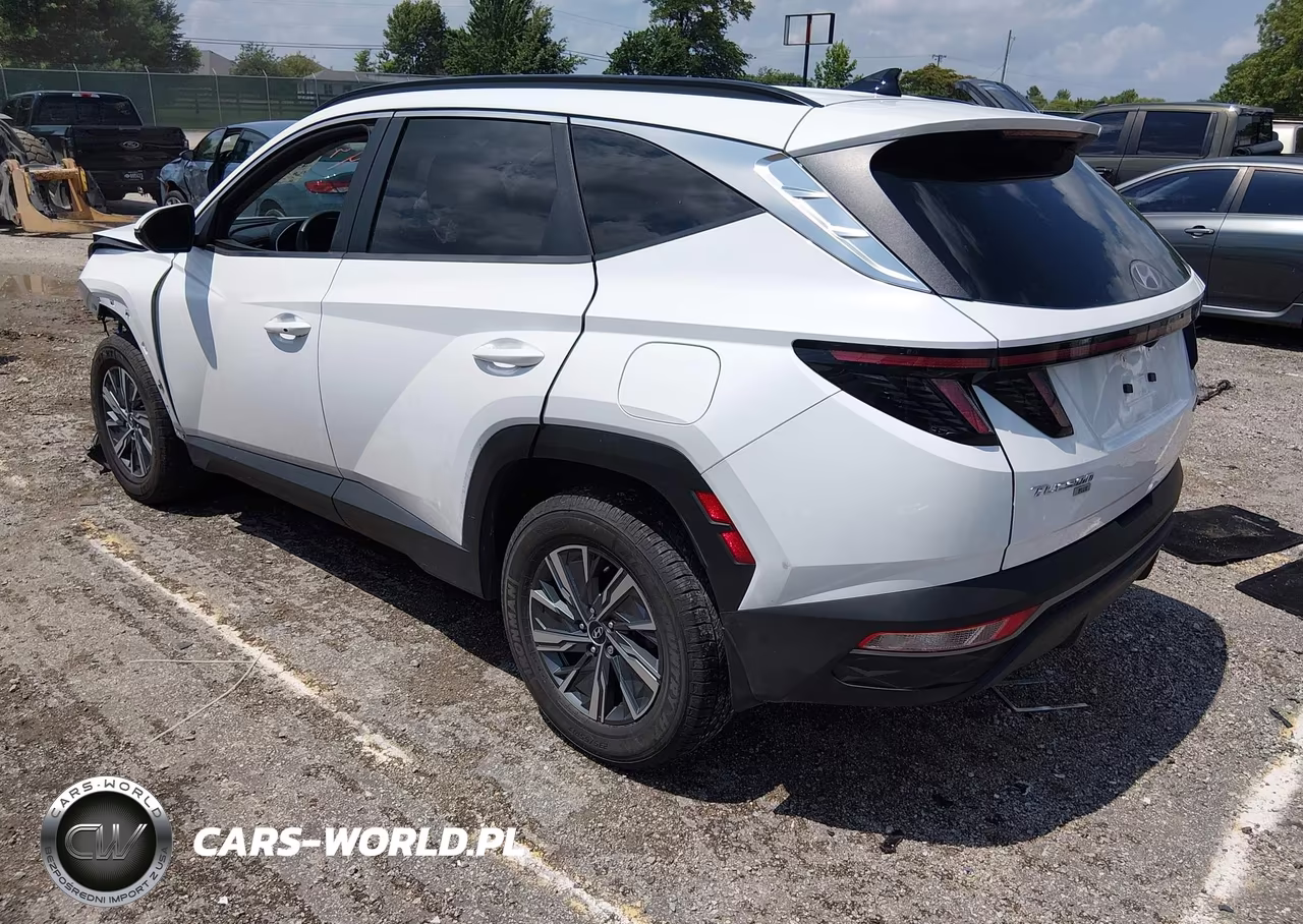 2022 Hyundai Tucson Hybrid Blue VIN:KM8JBCA16NU028260 - 3