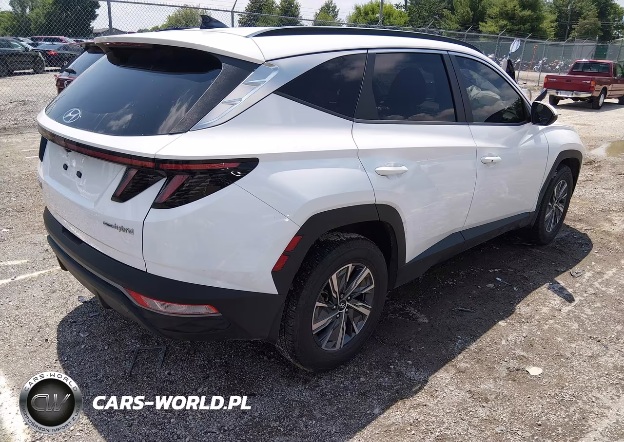 2022 Hyundai Tucson Hybrid Blue VIN:KM8JBCA16NU028260 - 4