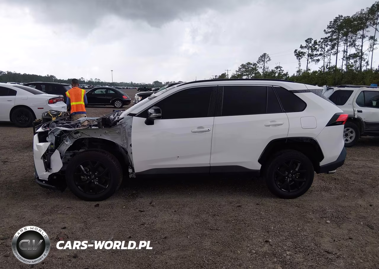 2023 Toyota Rav4 Xle VIN:2T3W1RFV5PC224774 - 14