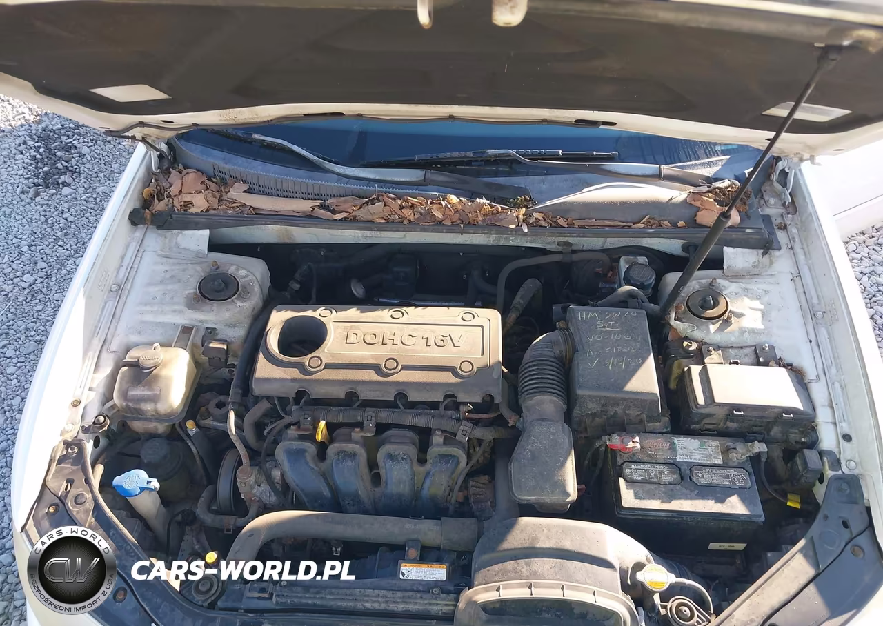 2009 Hyundai Sonata Gls VIN:5NPET46C49H541865 - 10