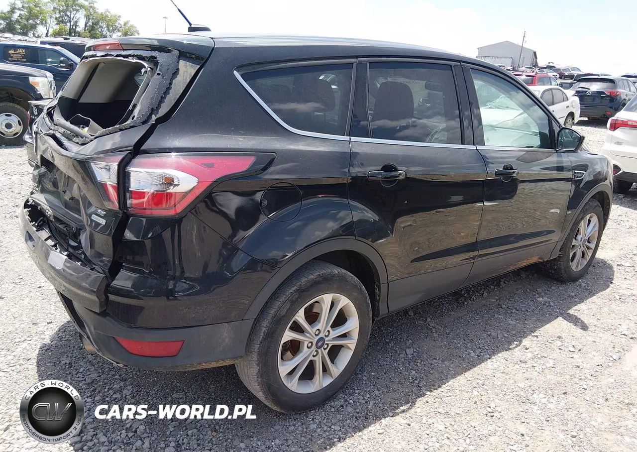 2017 Ford Escape Se VIN:1FMCU0GD3HUD04434 - 4