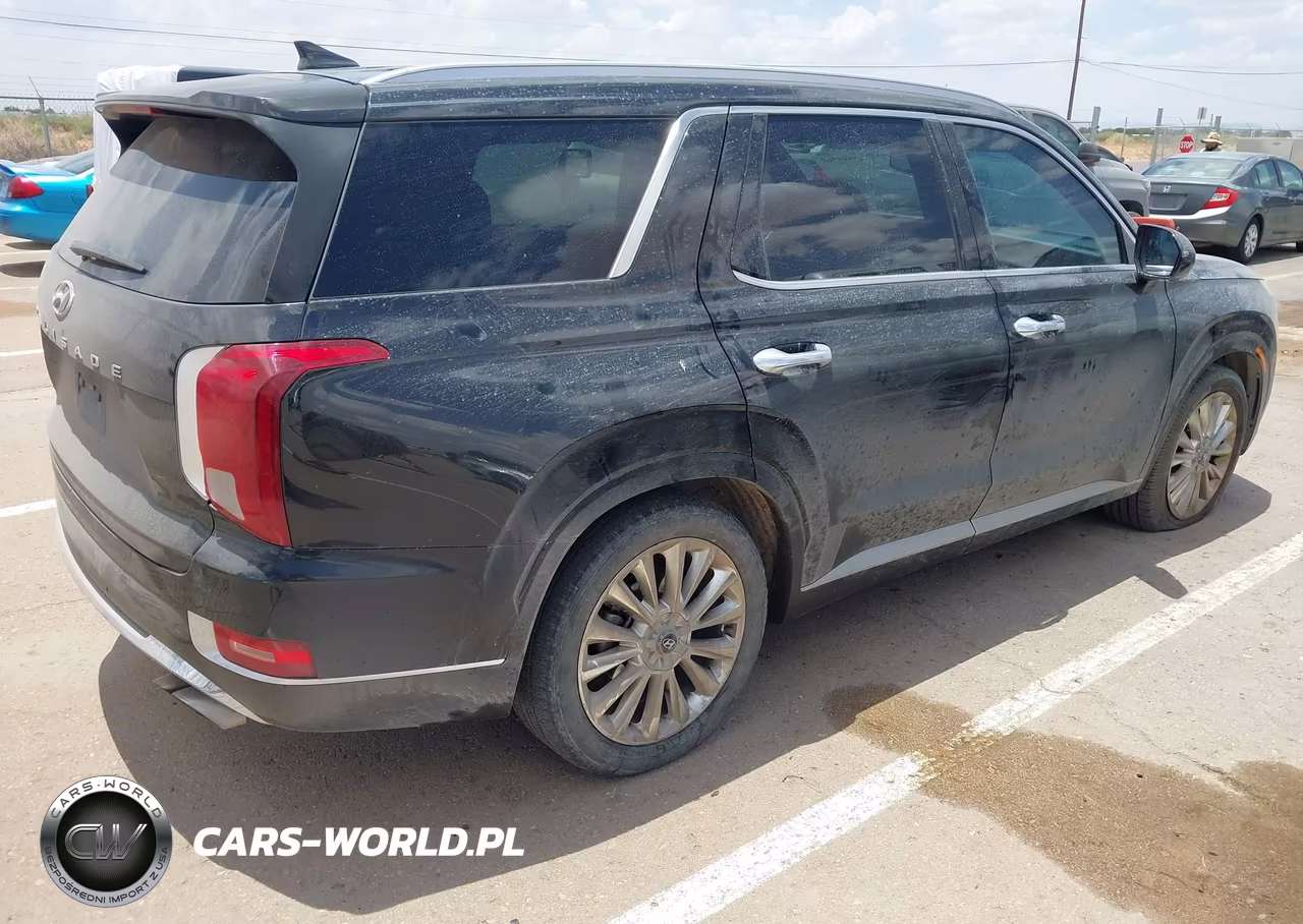 2020 Hyundai Palisade Limited VIN:KM8R54HE7LU078090 - 4
