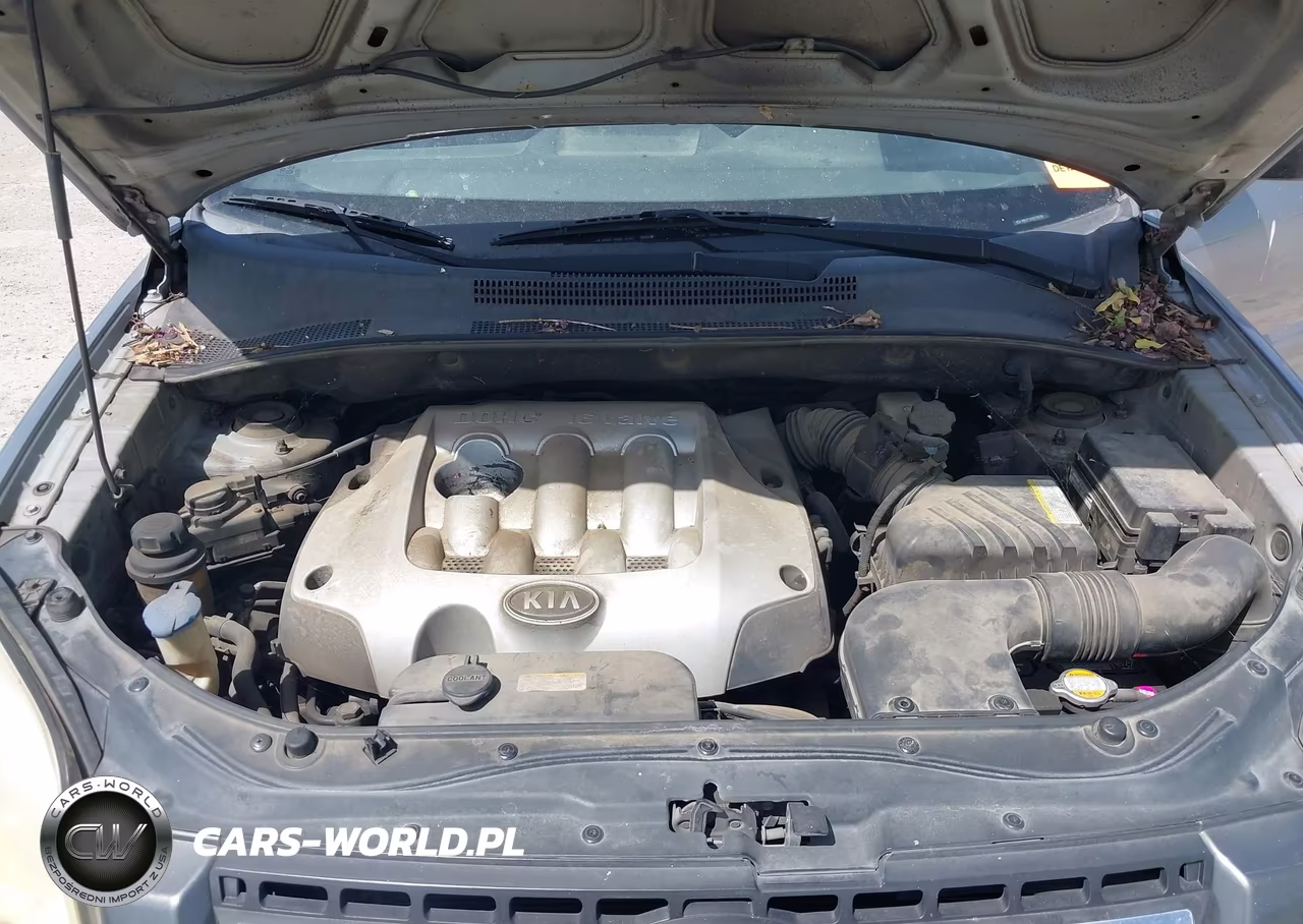 2006 Kia Sportage Lx VIN:KNDJF724167189799 - 10