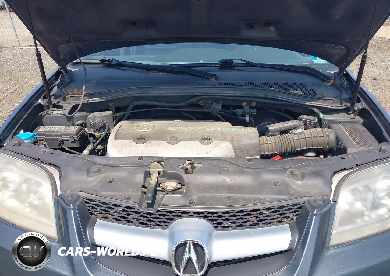 2006 Acura Mdx VIN:2HNYD18806H519121 - 10