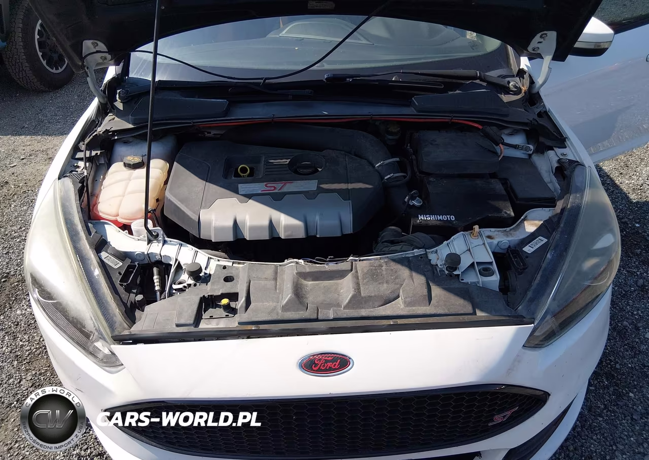 2016 Ford Focus St VIN:1FADP3L94GL355244 - 10
