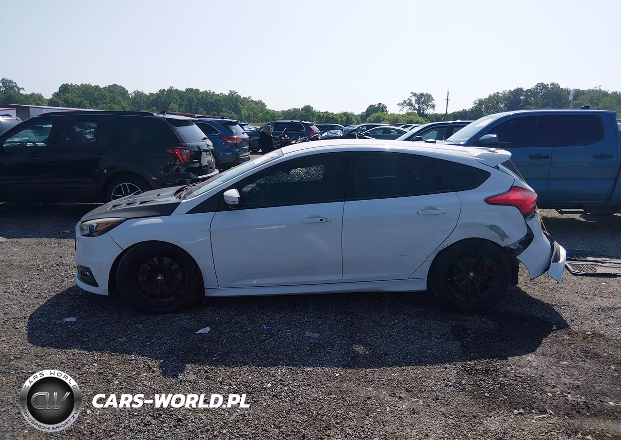 2016 Ford Focus St VIN:1FADP3L94GL355244 - 14