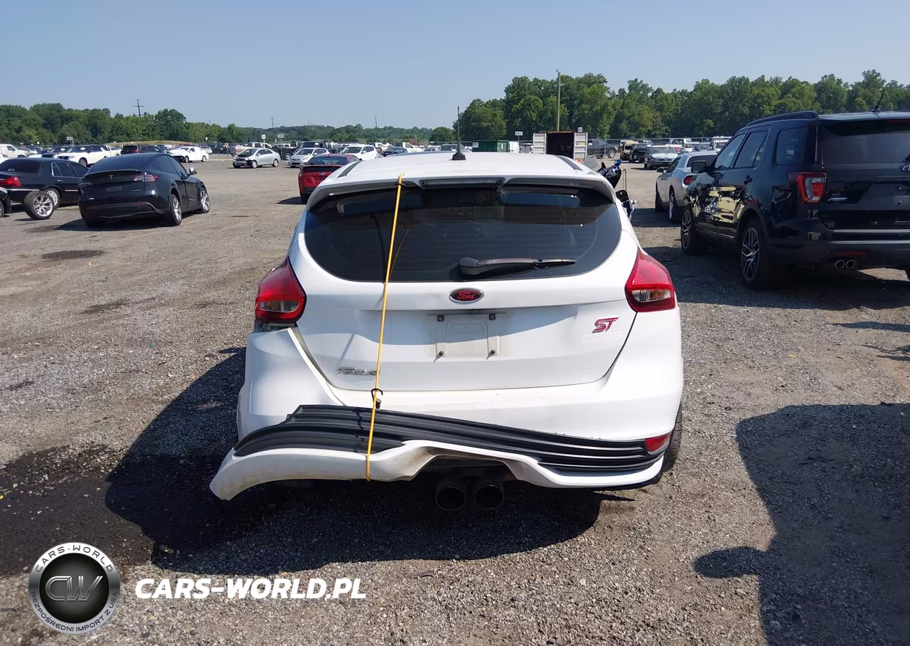 2016 Ford Focus St VIN:1FADP3L94GL355244 - 16