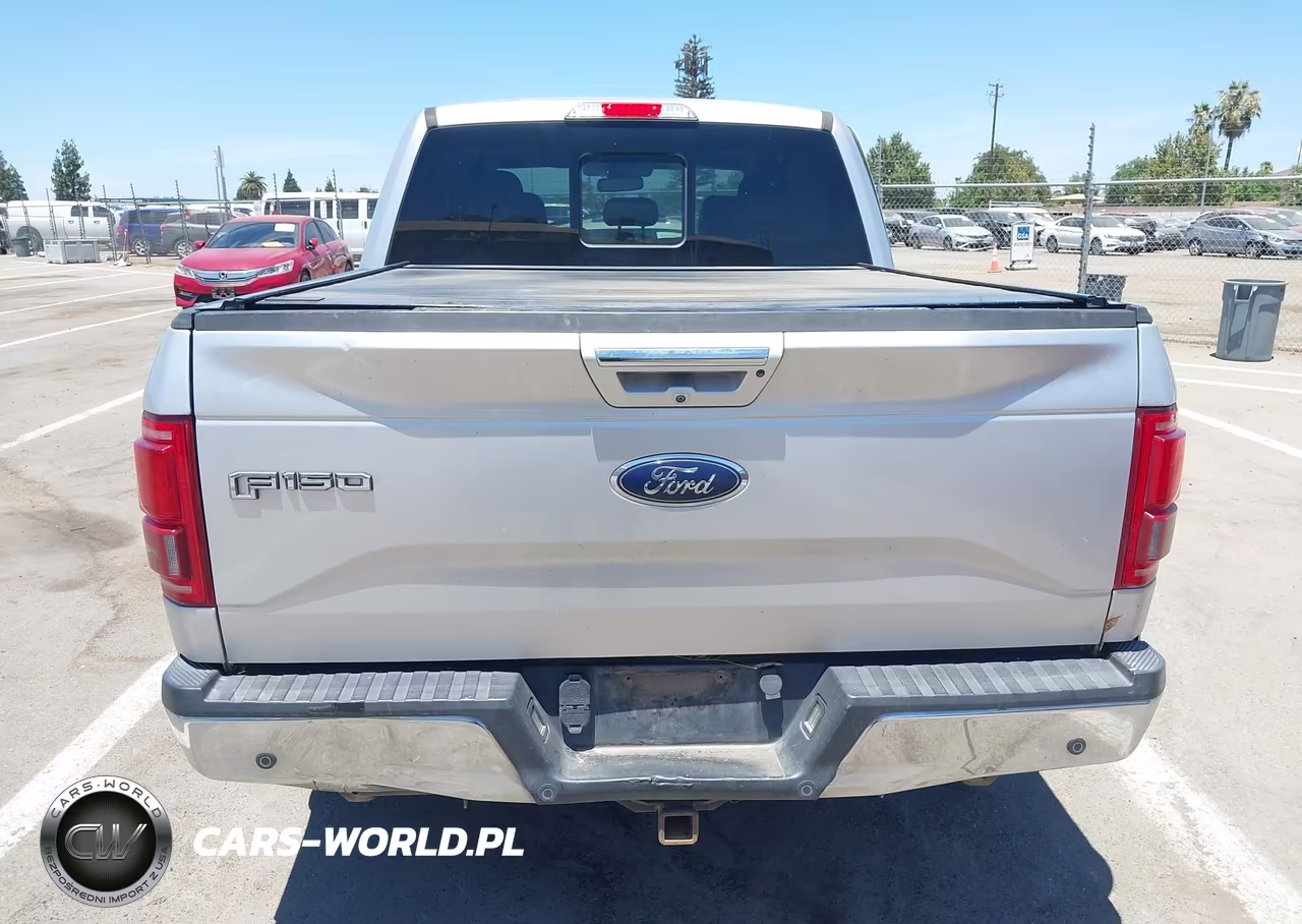 2016 Ford F-150 King Ranch-Lariat-Limited-Platinum-Xl-Xlt VIN:1FTEW1EG5GFA14693 - 17