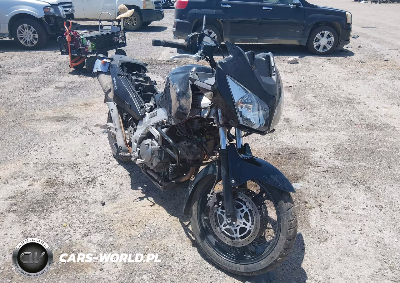 2004 Suzuki Dl650 K – zdjęcie 1 z 13