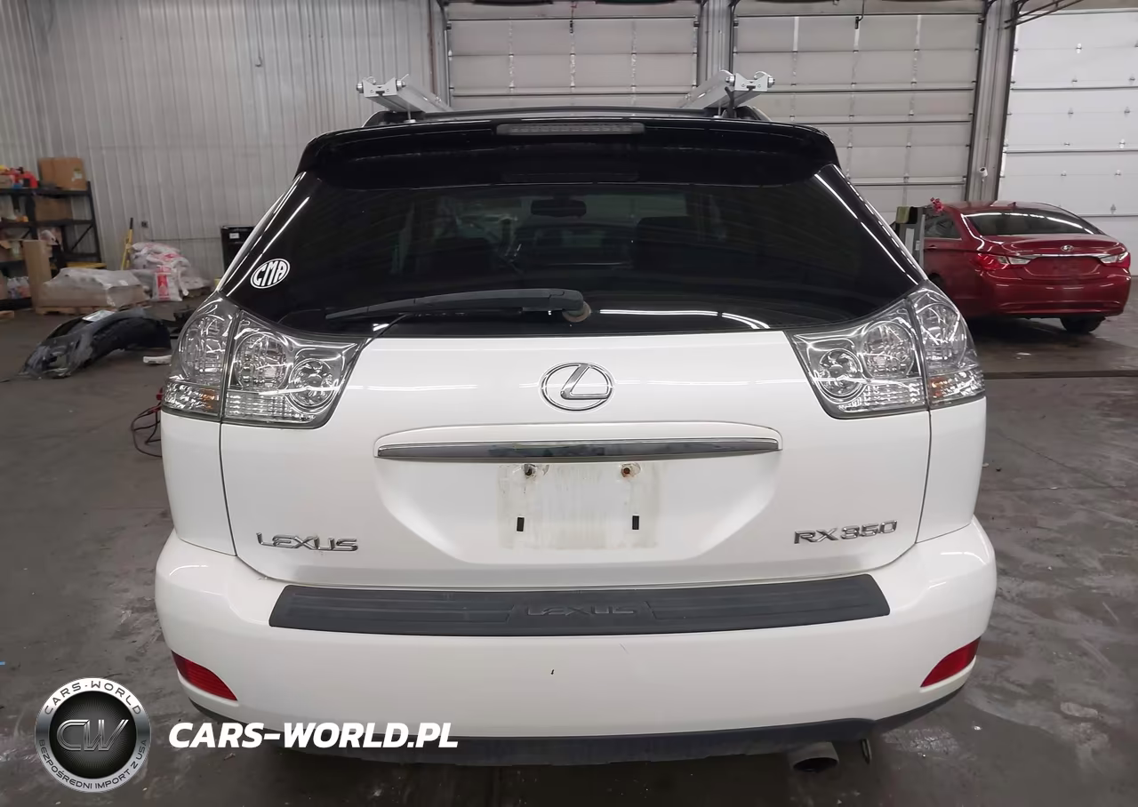 2009 Lexus Rx 350 VIN:2T2HK31U59C104028 - 16