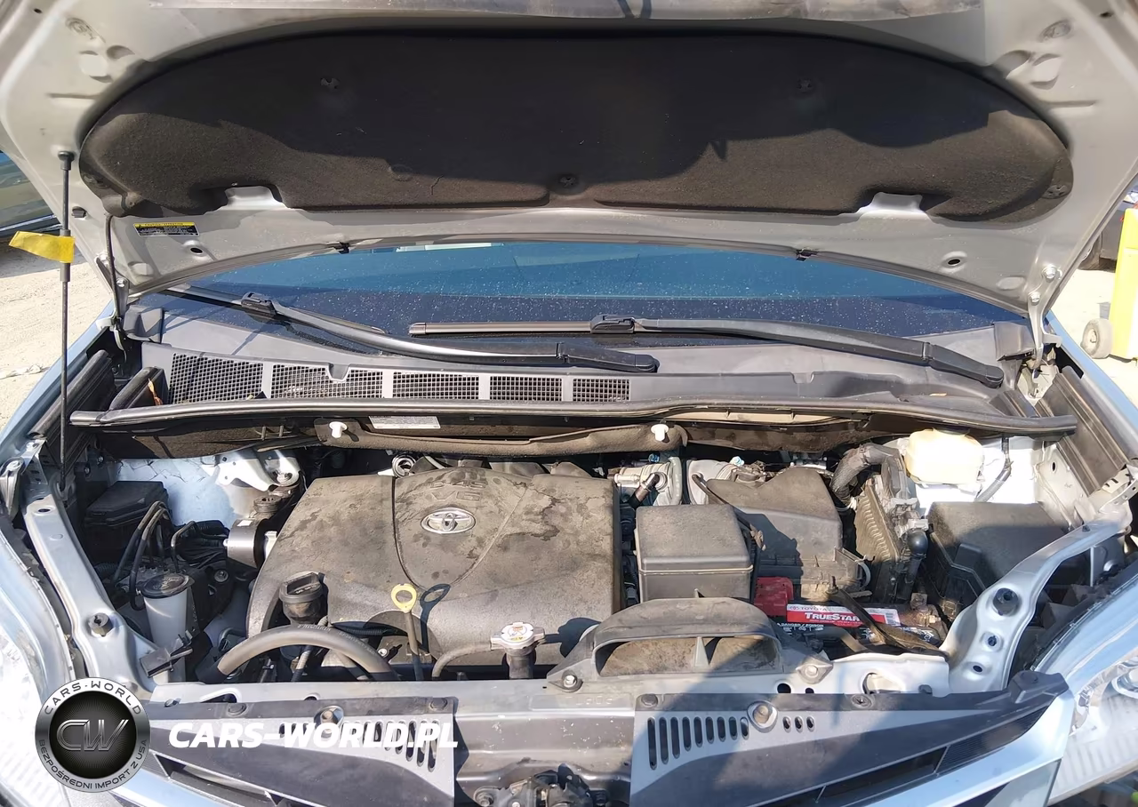 2019 Toyota Sienna Xle 8 Passenger VIN:5TDYZ3DC4KS969766 - 10