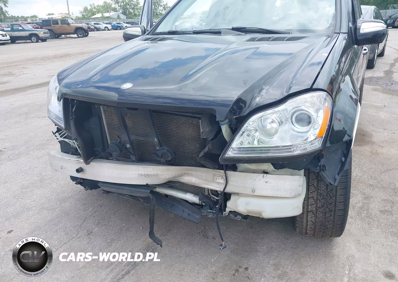 2010 Mercedes-Benz Gl 450 4Matic VIN:4JGBF7BE4AA556540 - 6