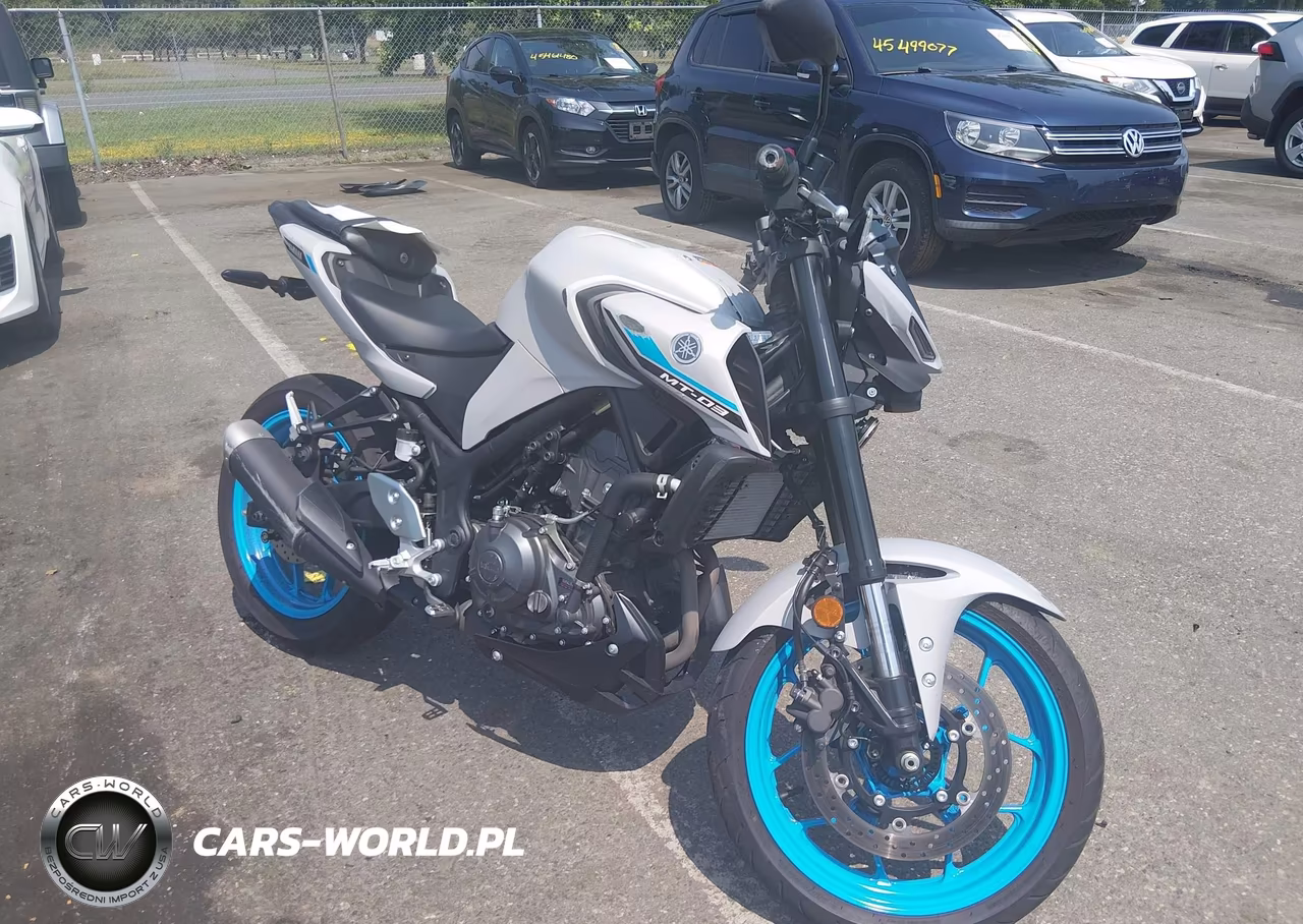 2025 Yamaha Mtn320 A